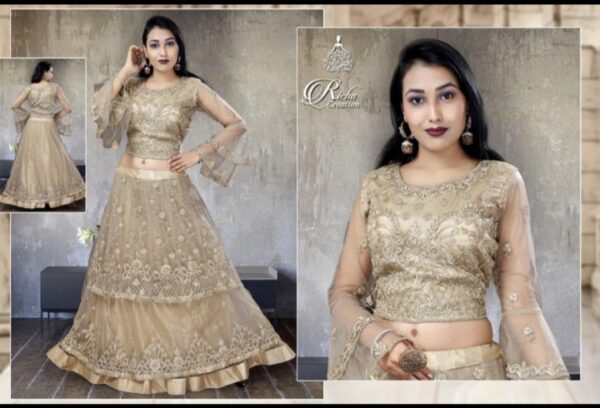 Richa Net Designer Thread Embroidered Flared Crop Top
